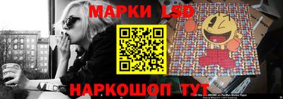амф Новодвинск