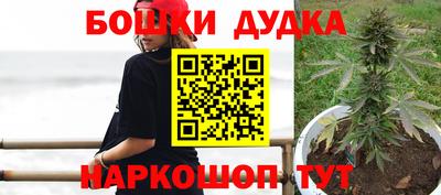 амф Новодвинск