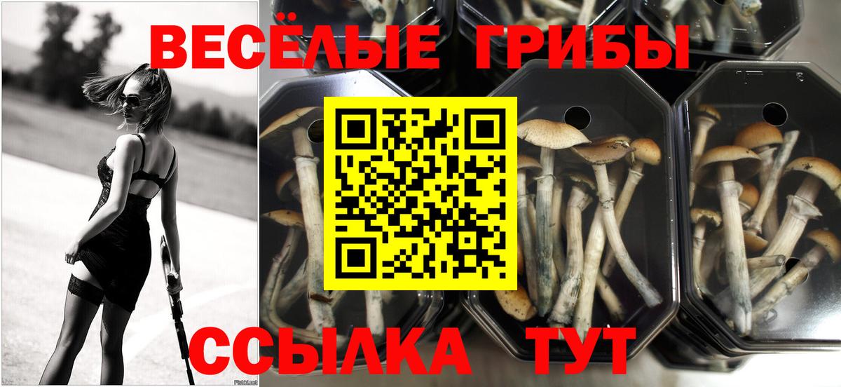 Советская Гавань  Галлюциногенные грибы GOLDEN TEACHER  Вход с VPN 